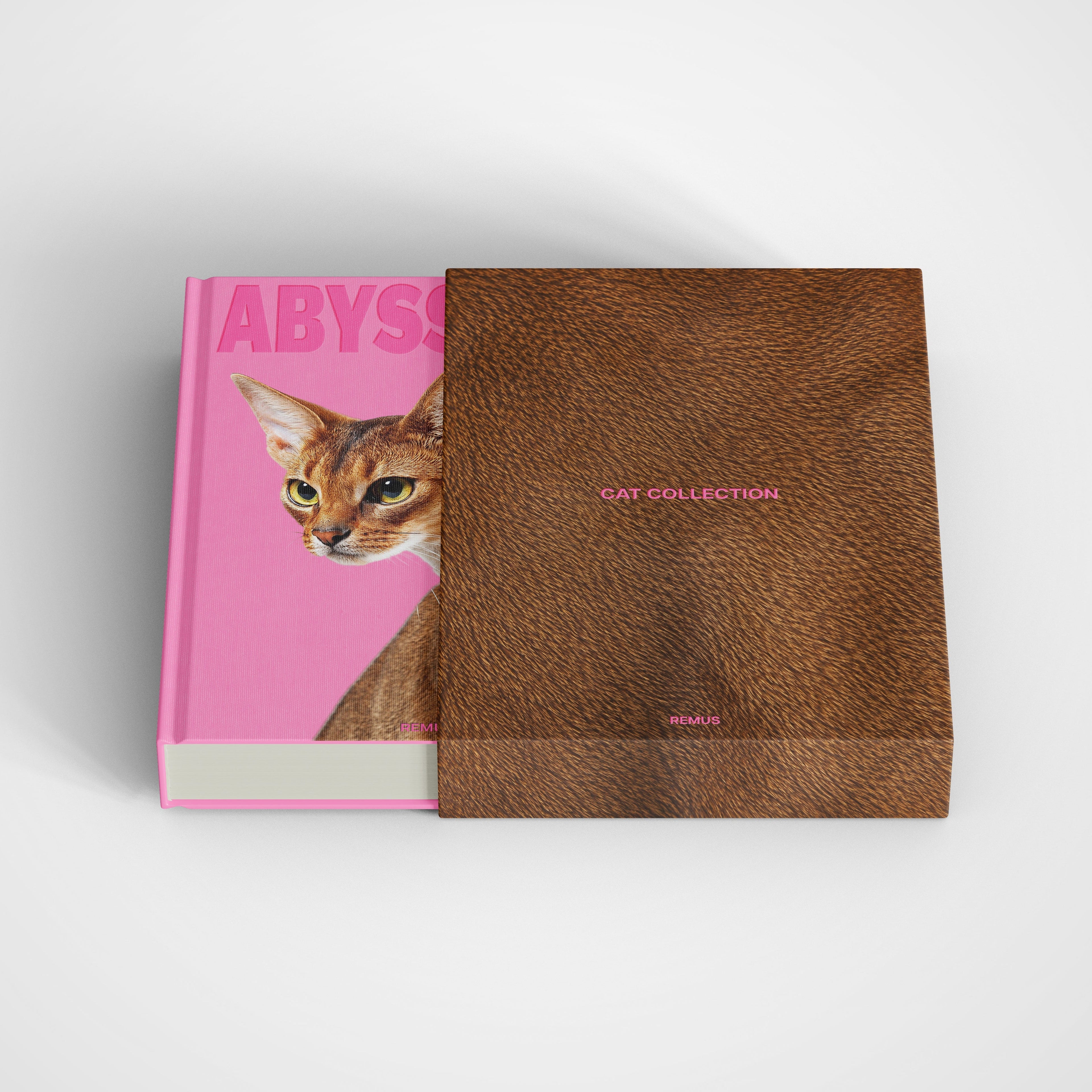 ABYSSINIAN Remus Collection