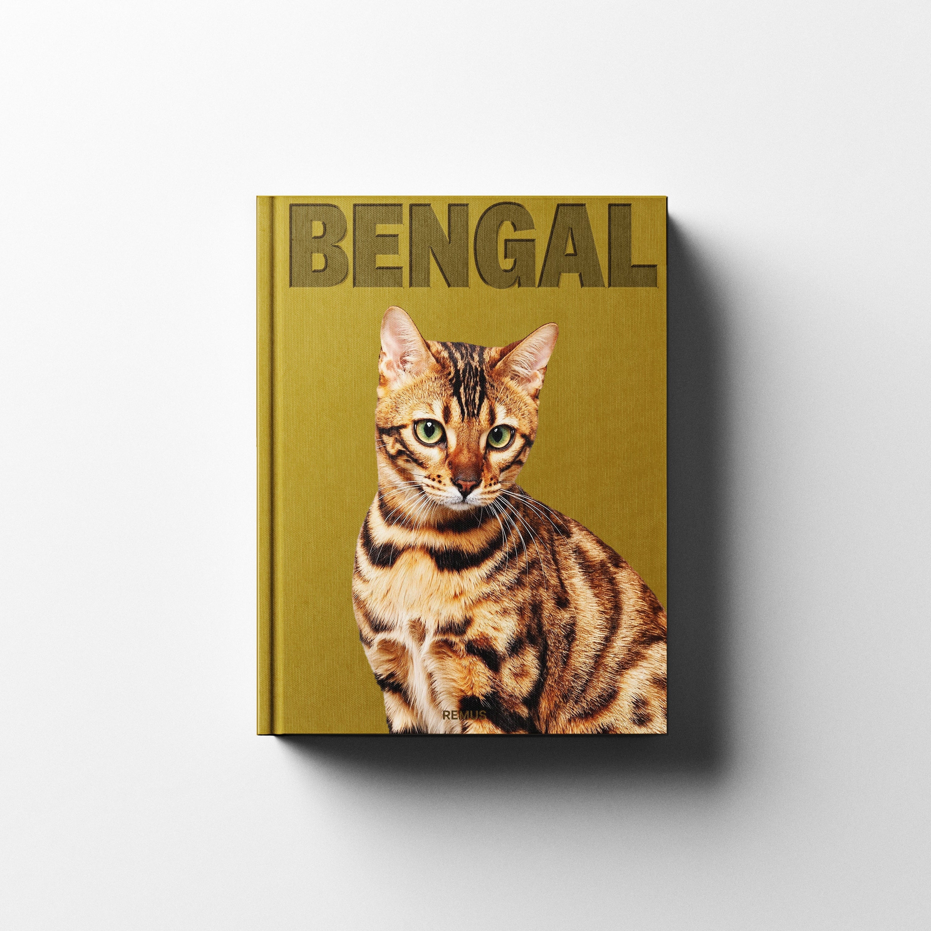 BENGAL Remus Collection