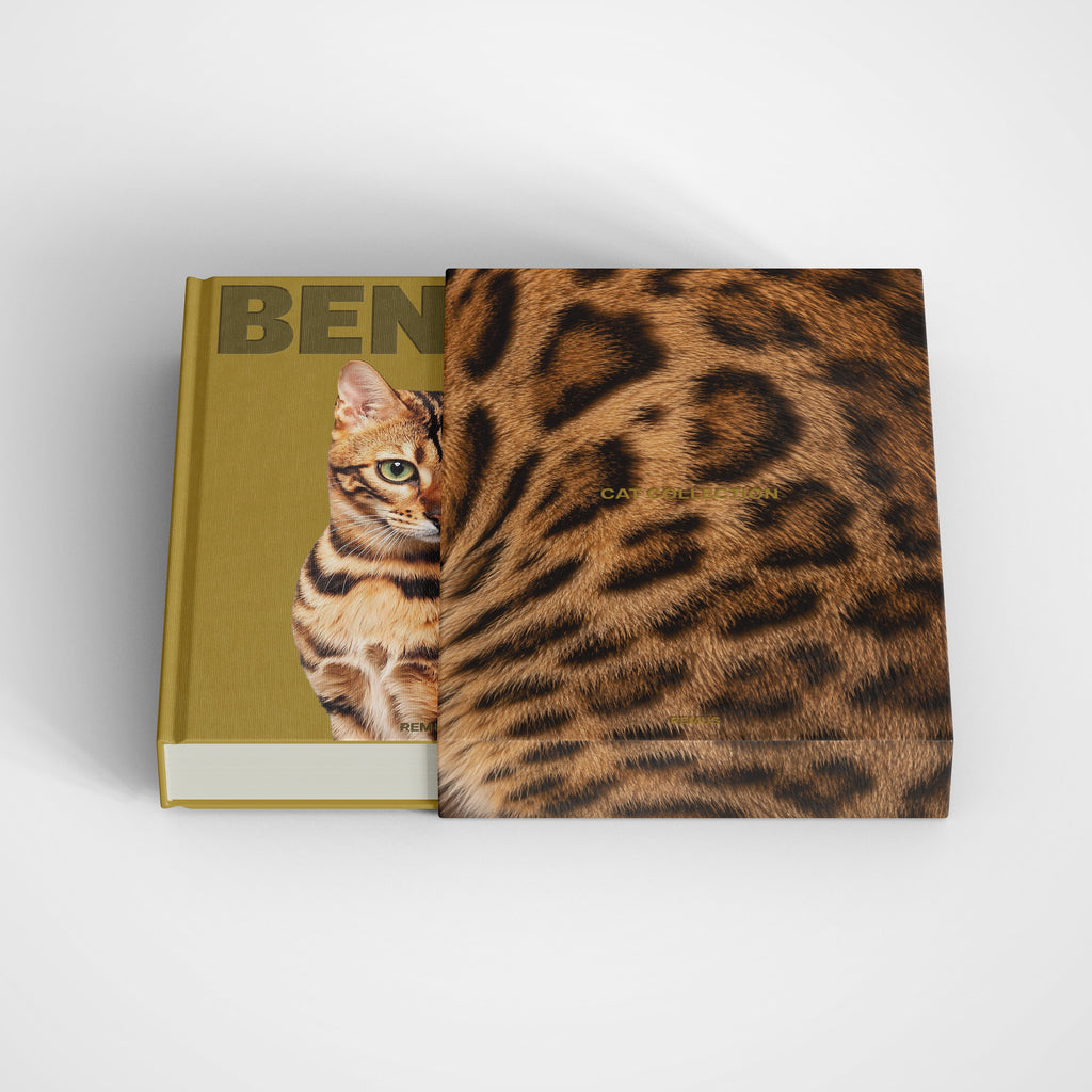 BENGAL Remus Collection