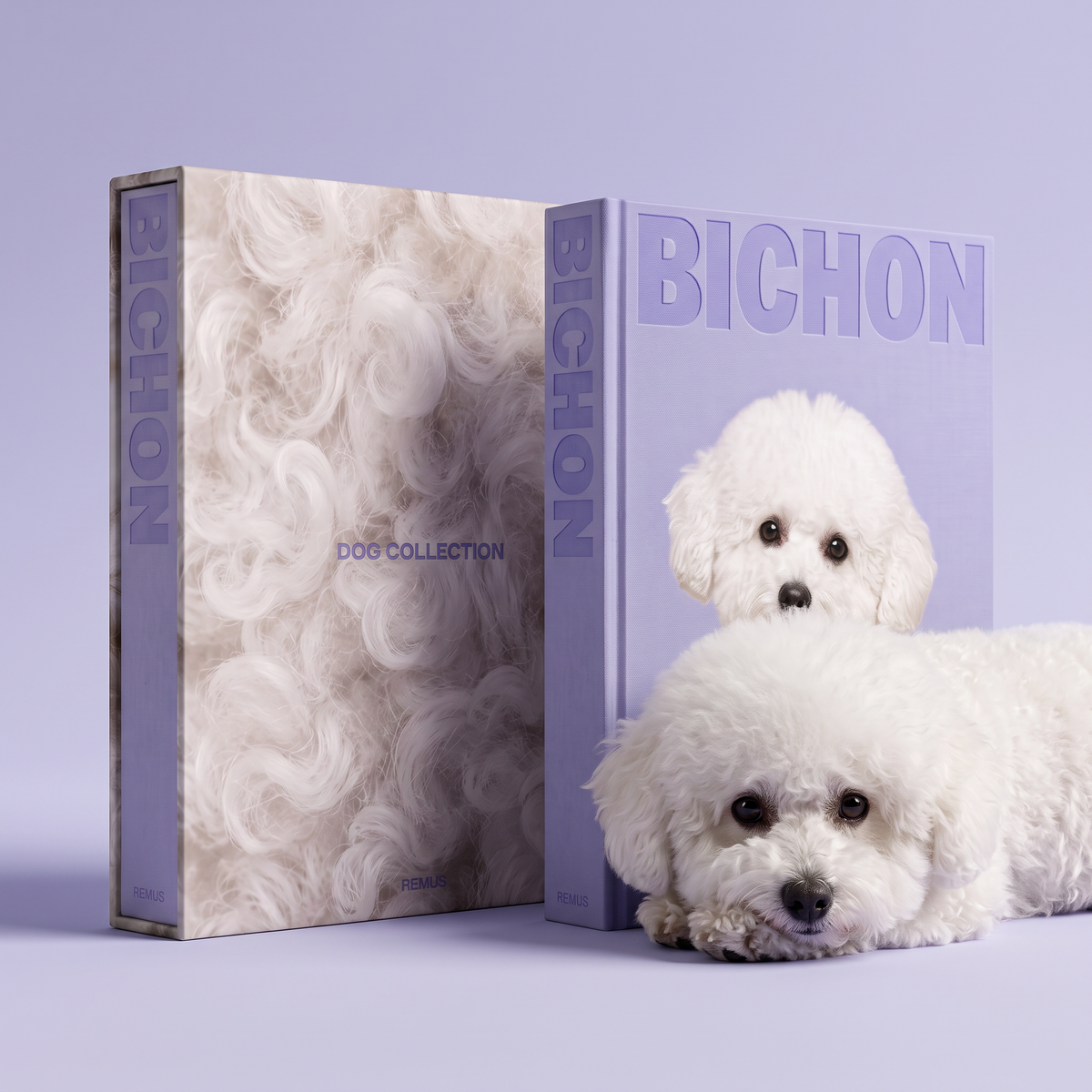 BICHON REMUS