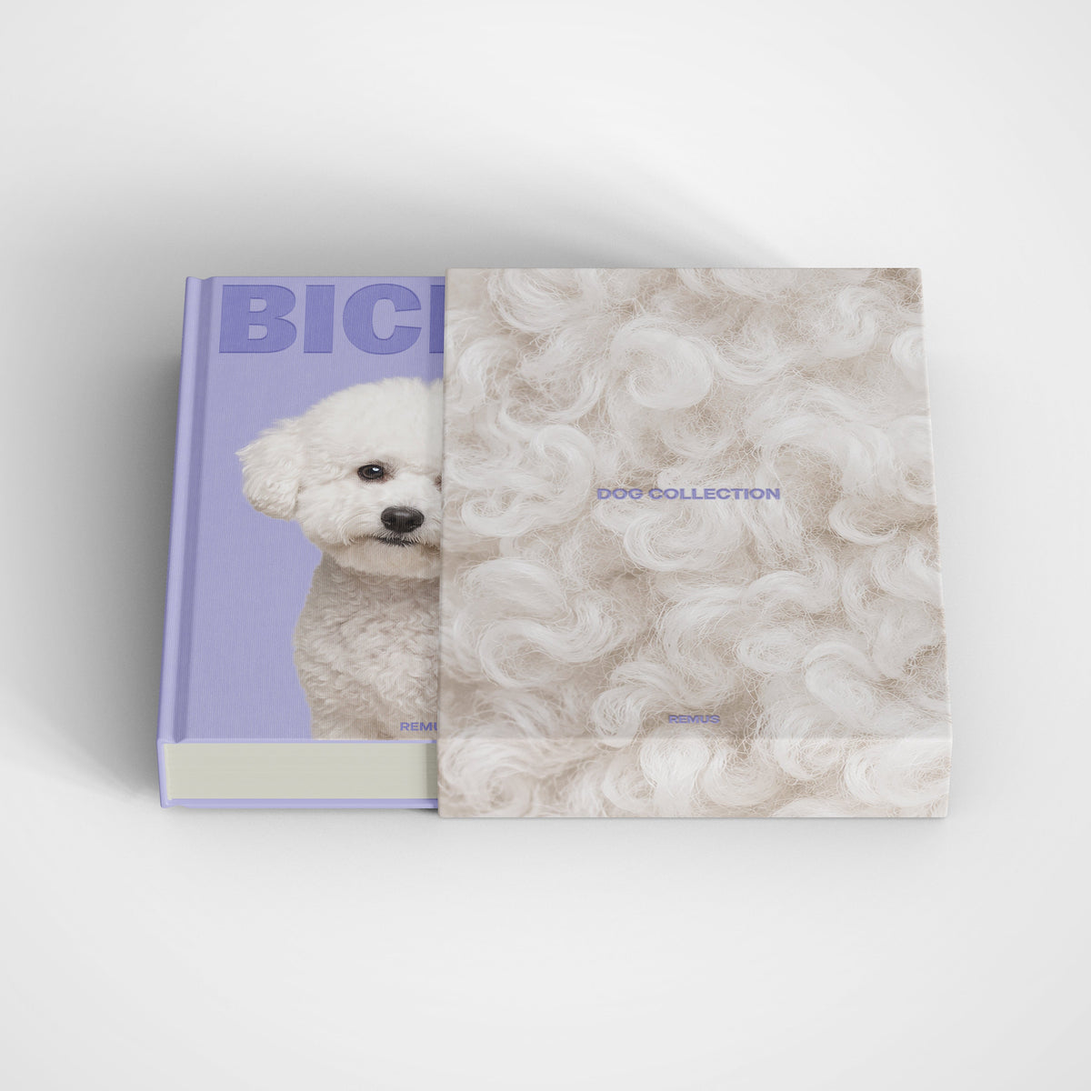 BICHON REMUS