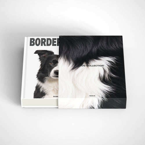 BORDER COLLIE Remus Collection