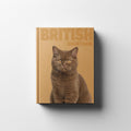 BRITISH SHORTHAIR Remus Collection