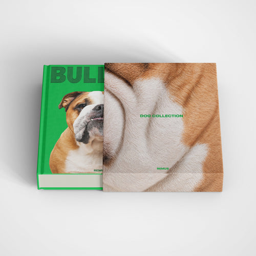 Bulldog slipcase in emerald green linen — REMUS Collection