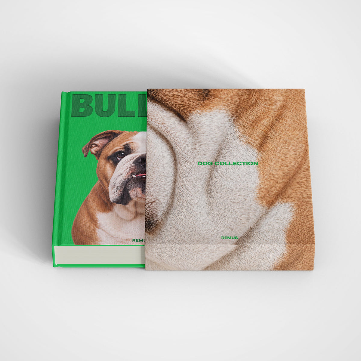 BULLDOG Remus Collection