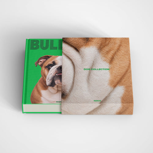 BULLDOG Remus Collection