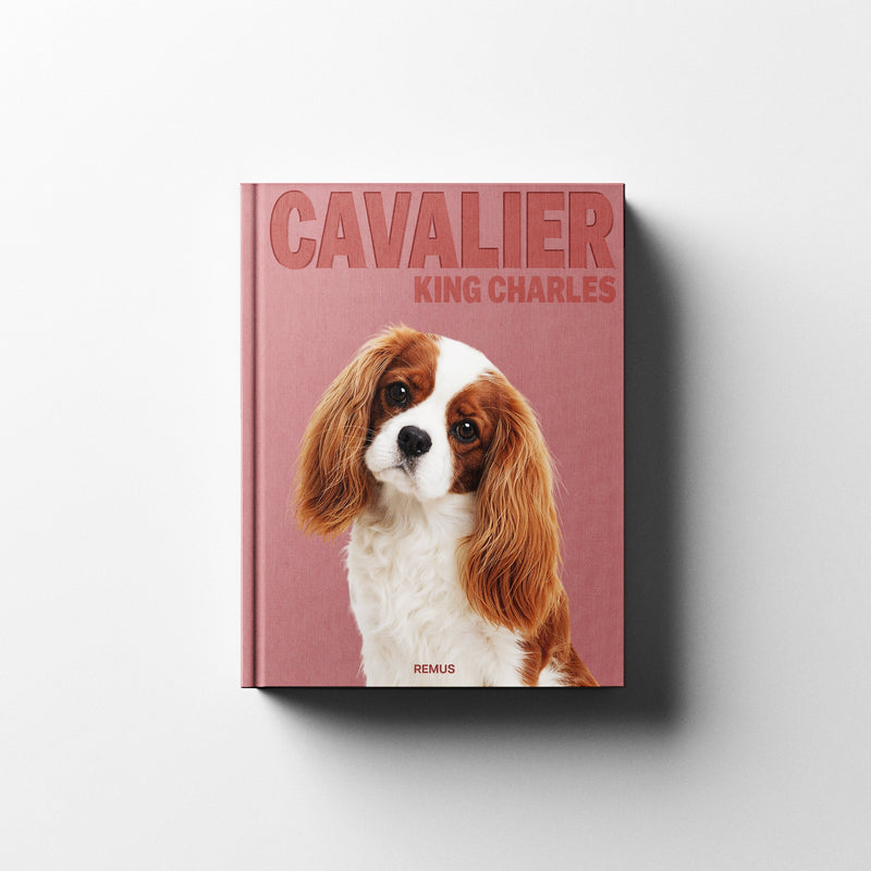 CAVALIER KING CHARLES