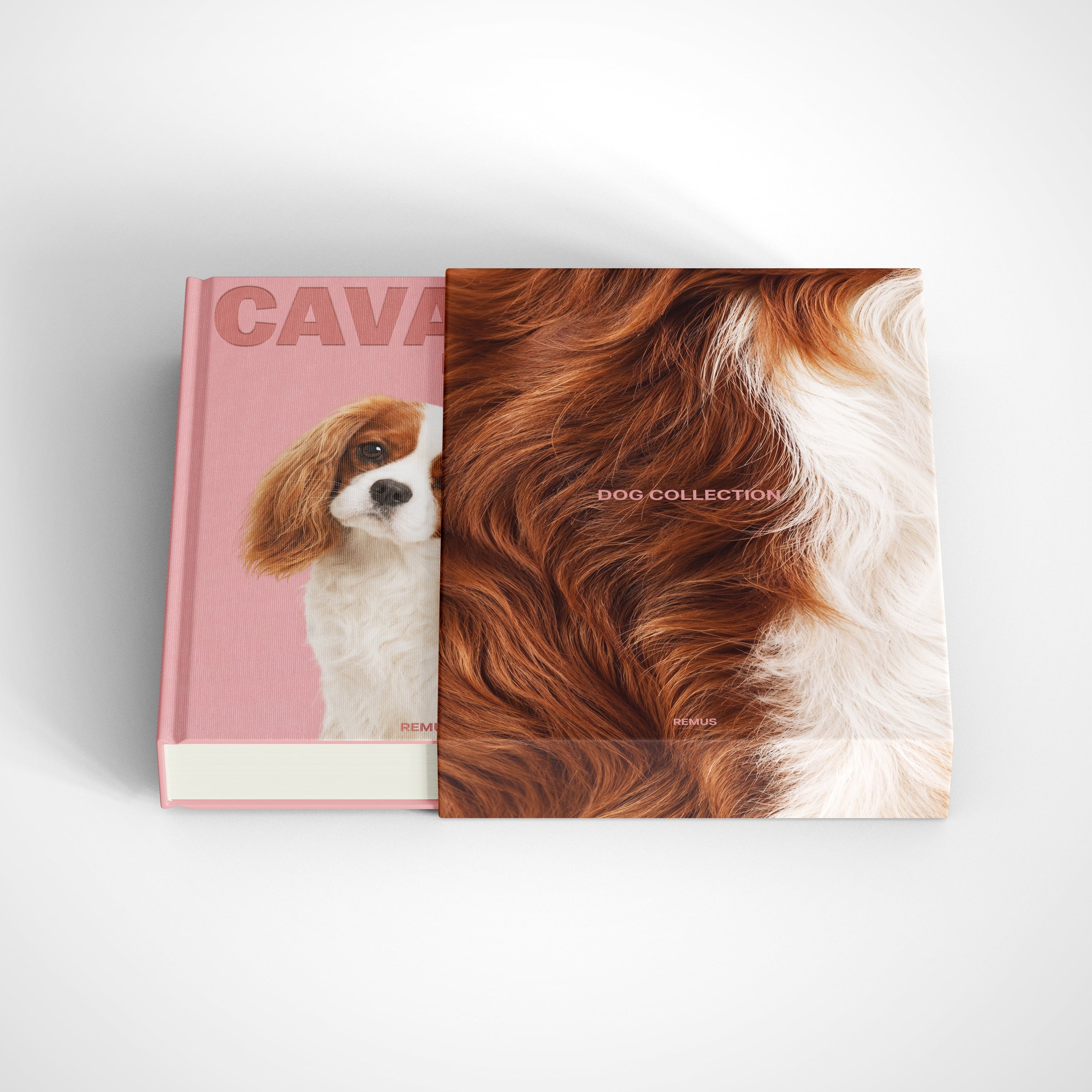 CAVALIER KING CHARLES Remus Collection