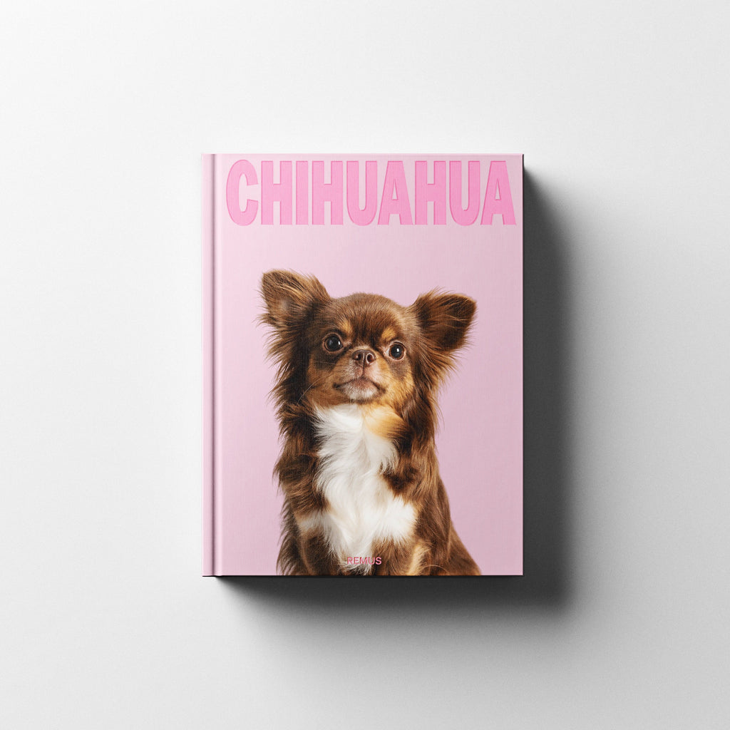 CHIHUAHUA REMUS
