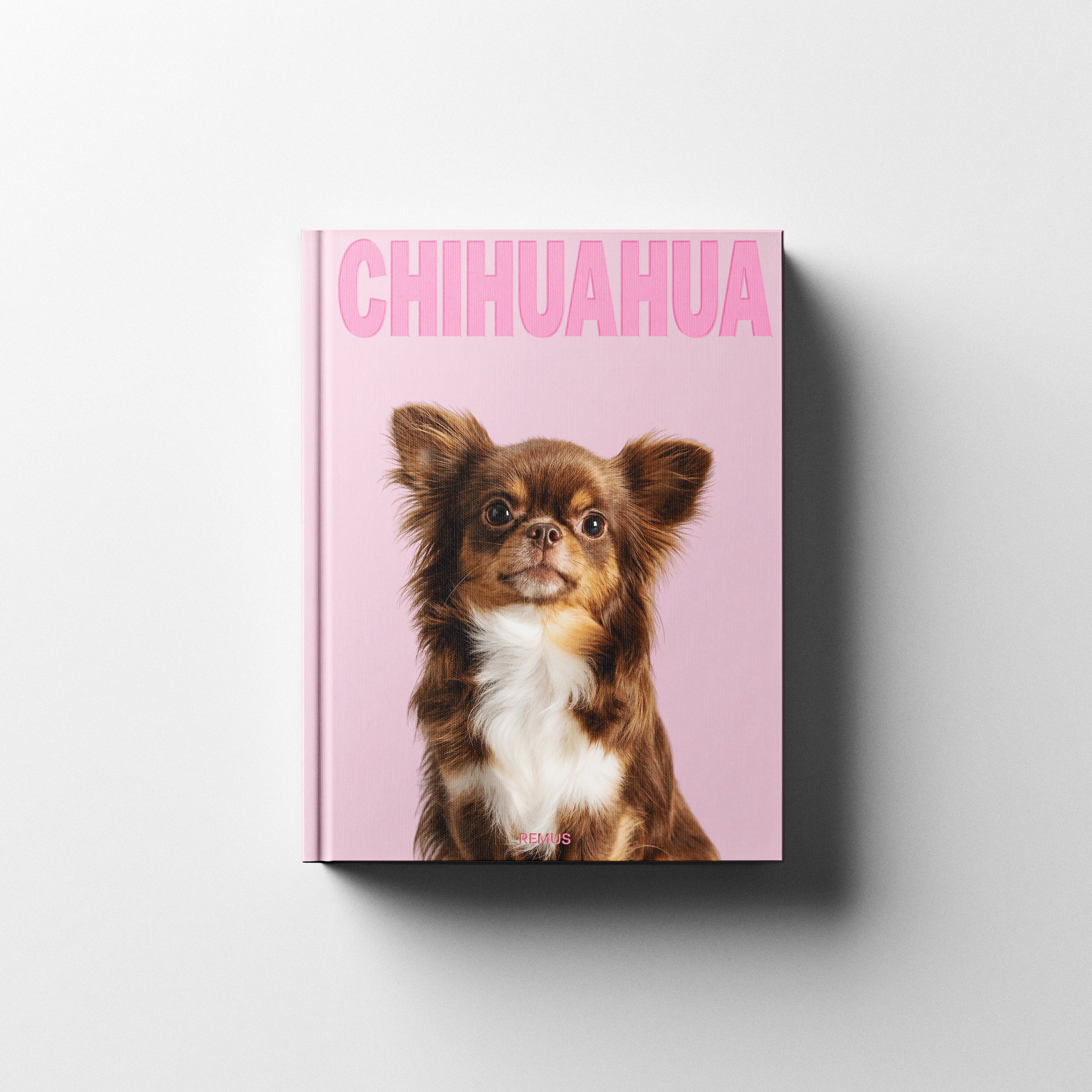 CHIHUAHUA REMUS