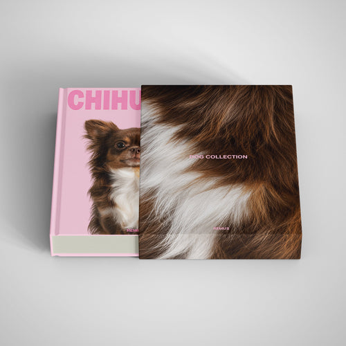 CHIHUAHUA REMUS