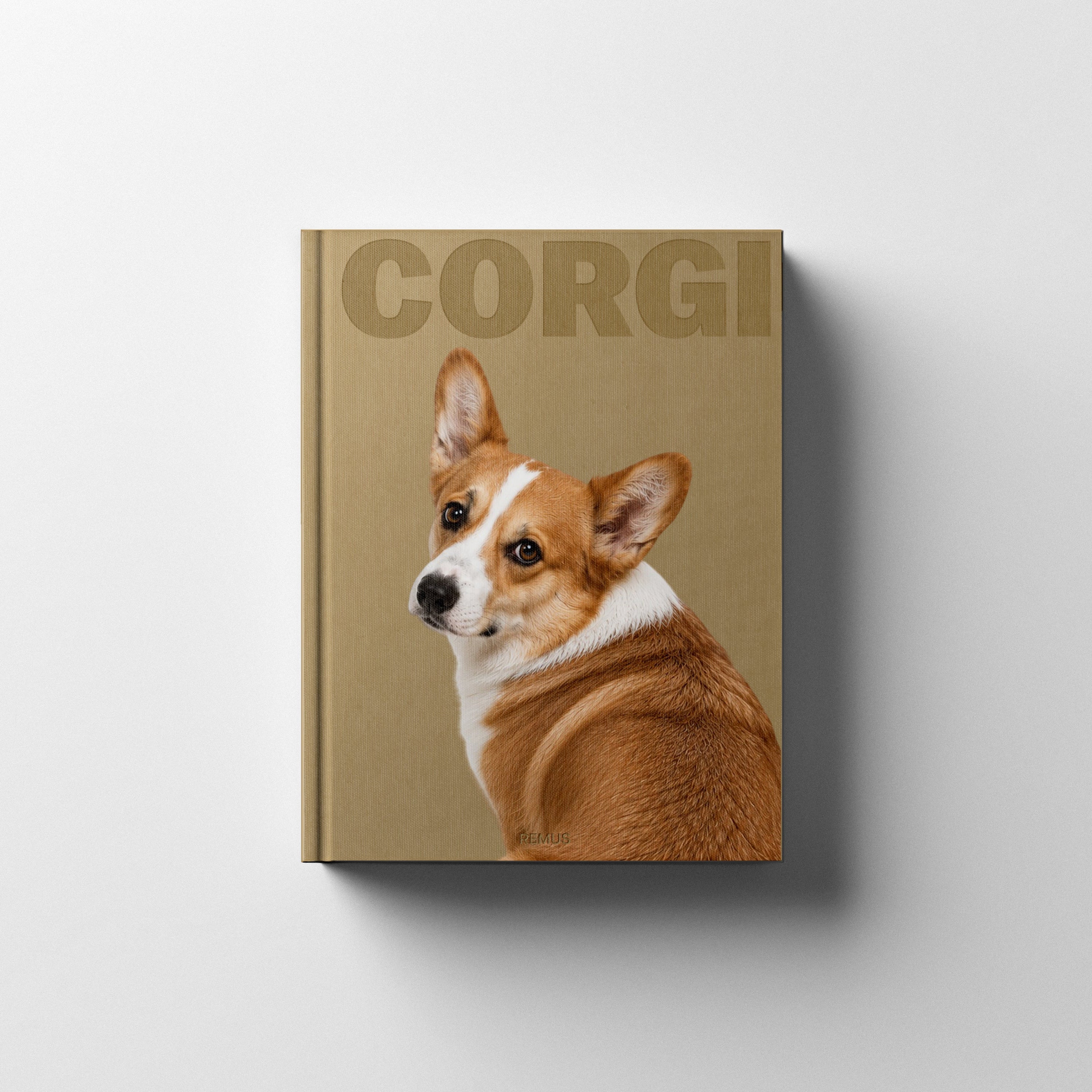 CORGI REMUS