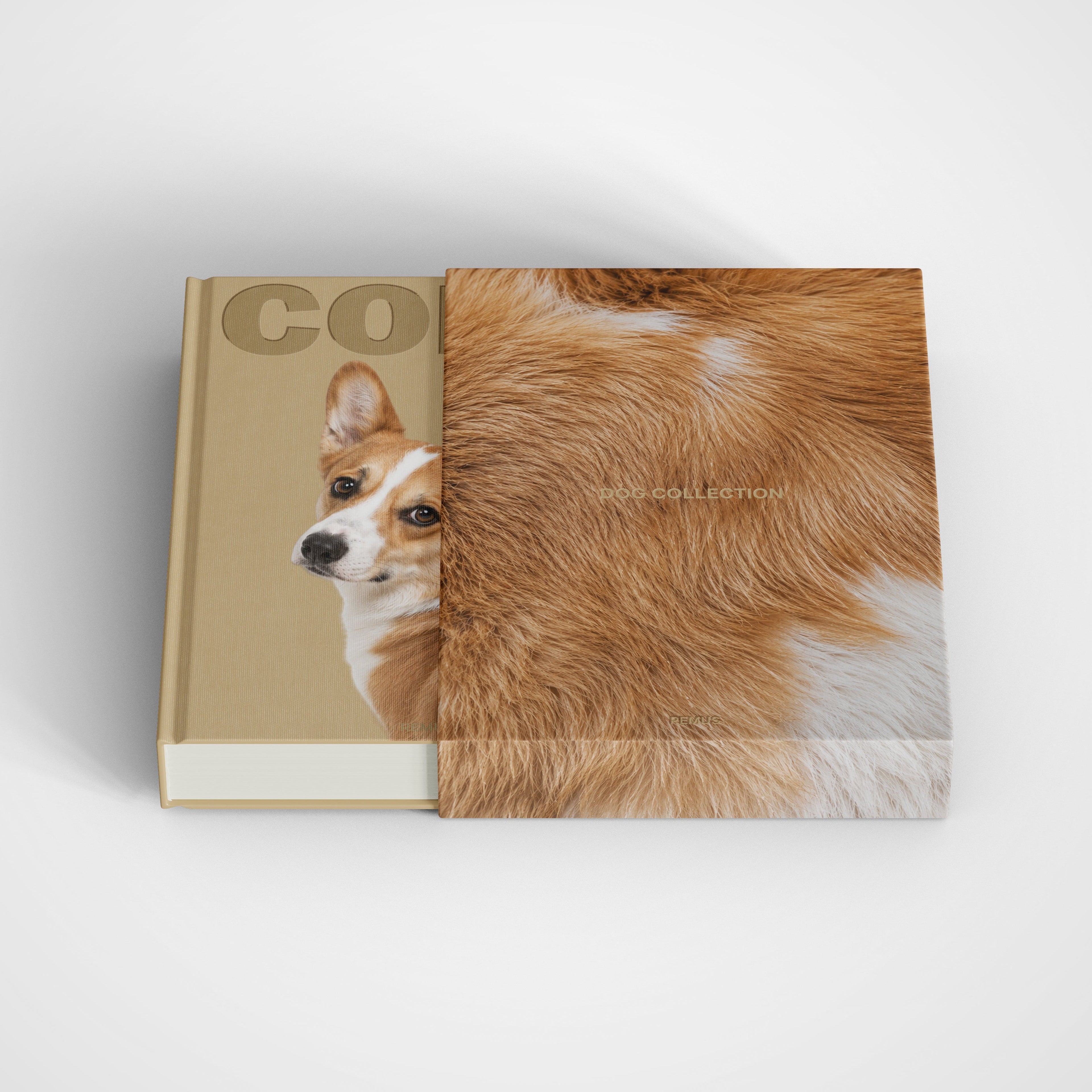 CORGI REMUS