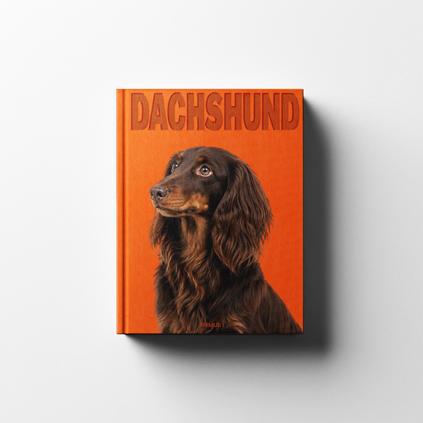 DACHSHUND