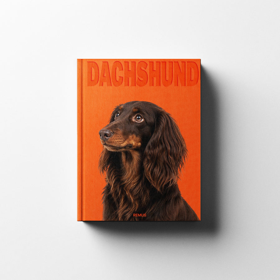 DACHSHUND