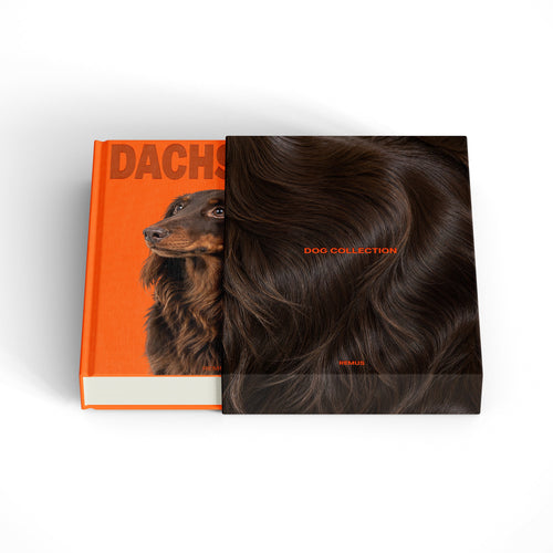 Dachshund slipcase in vermilion linen — REMUS Collection