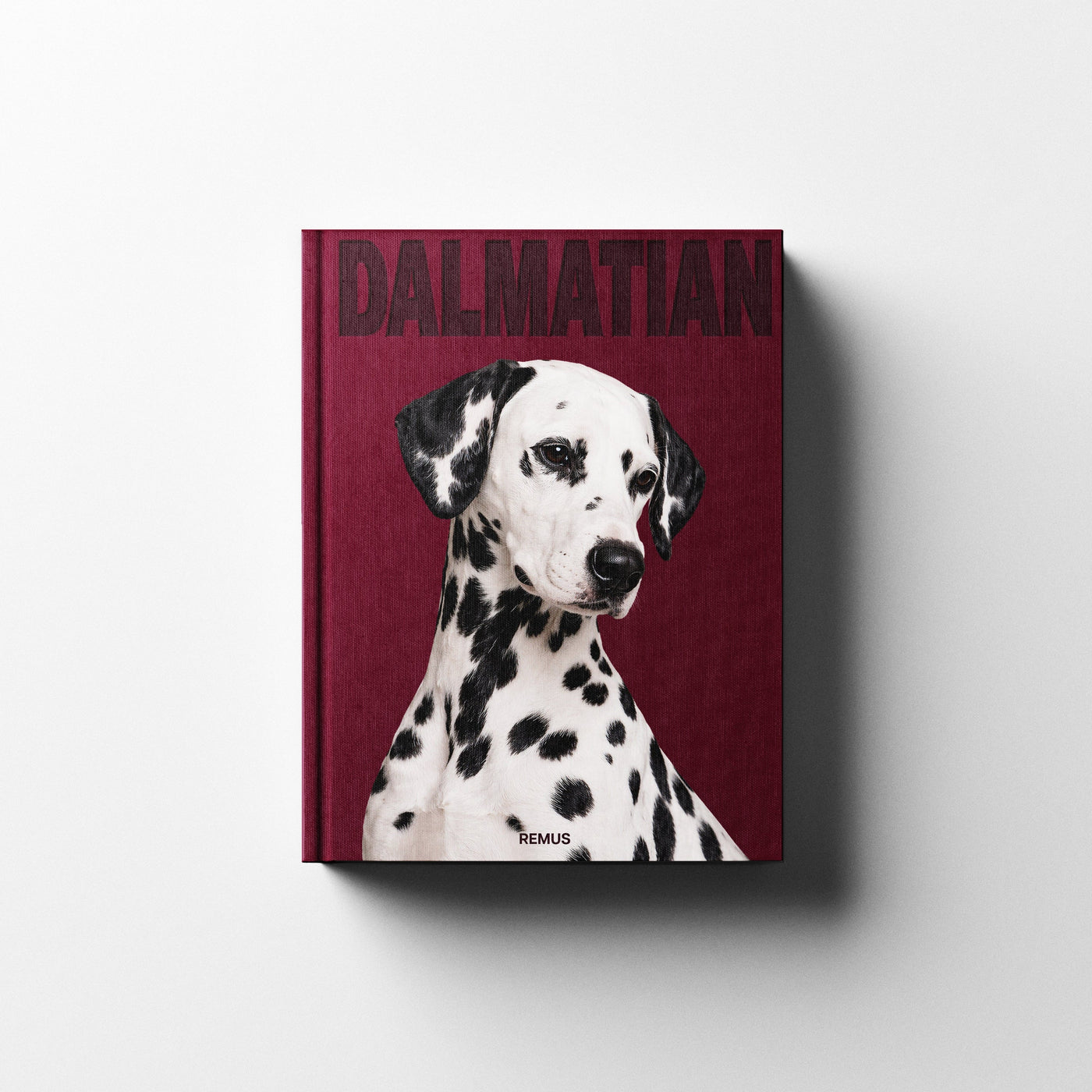 DALMATIAN