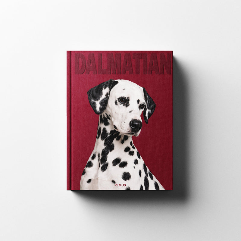 DALMATIAN