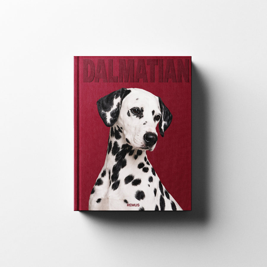 DALMATIAN