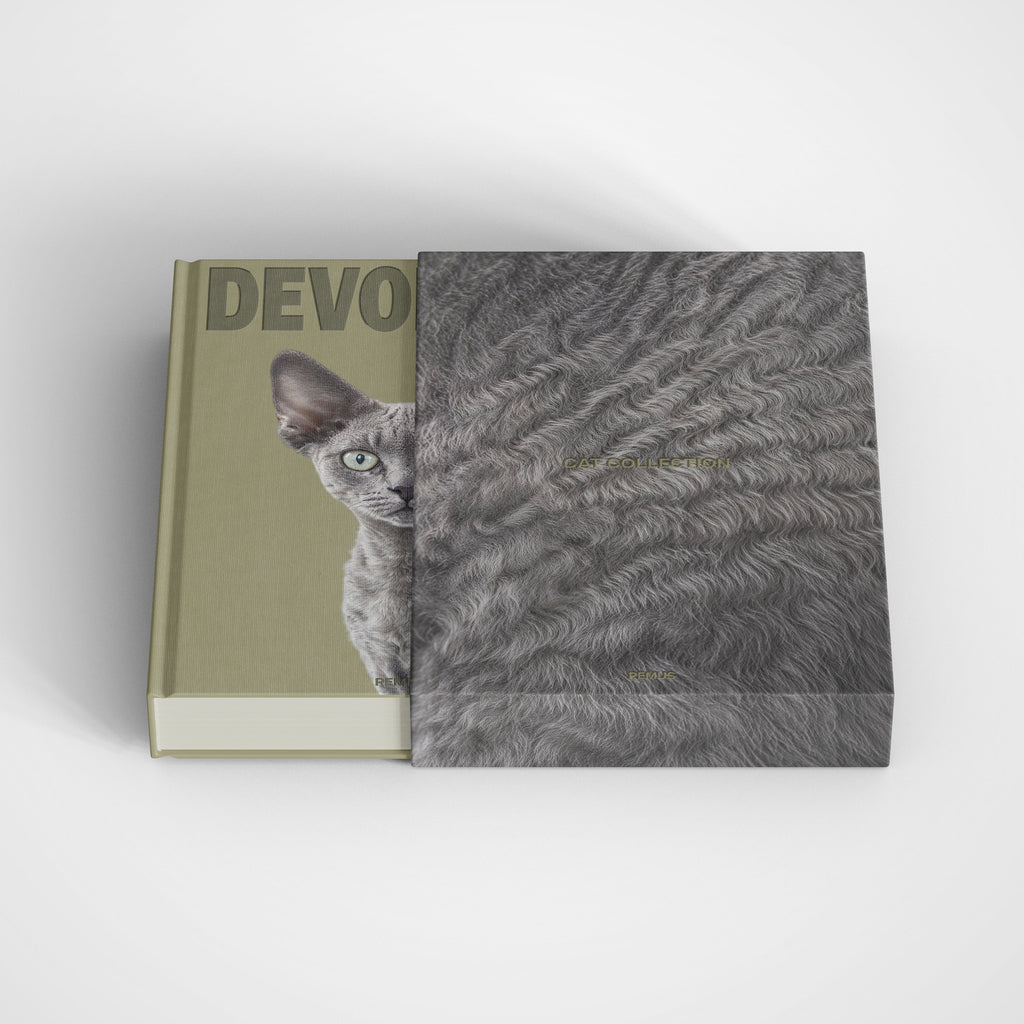 DEVON REX Remus Collection