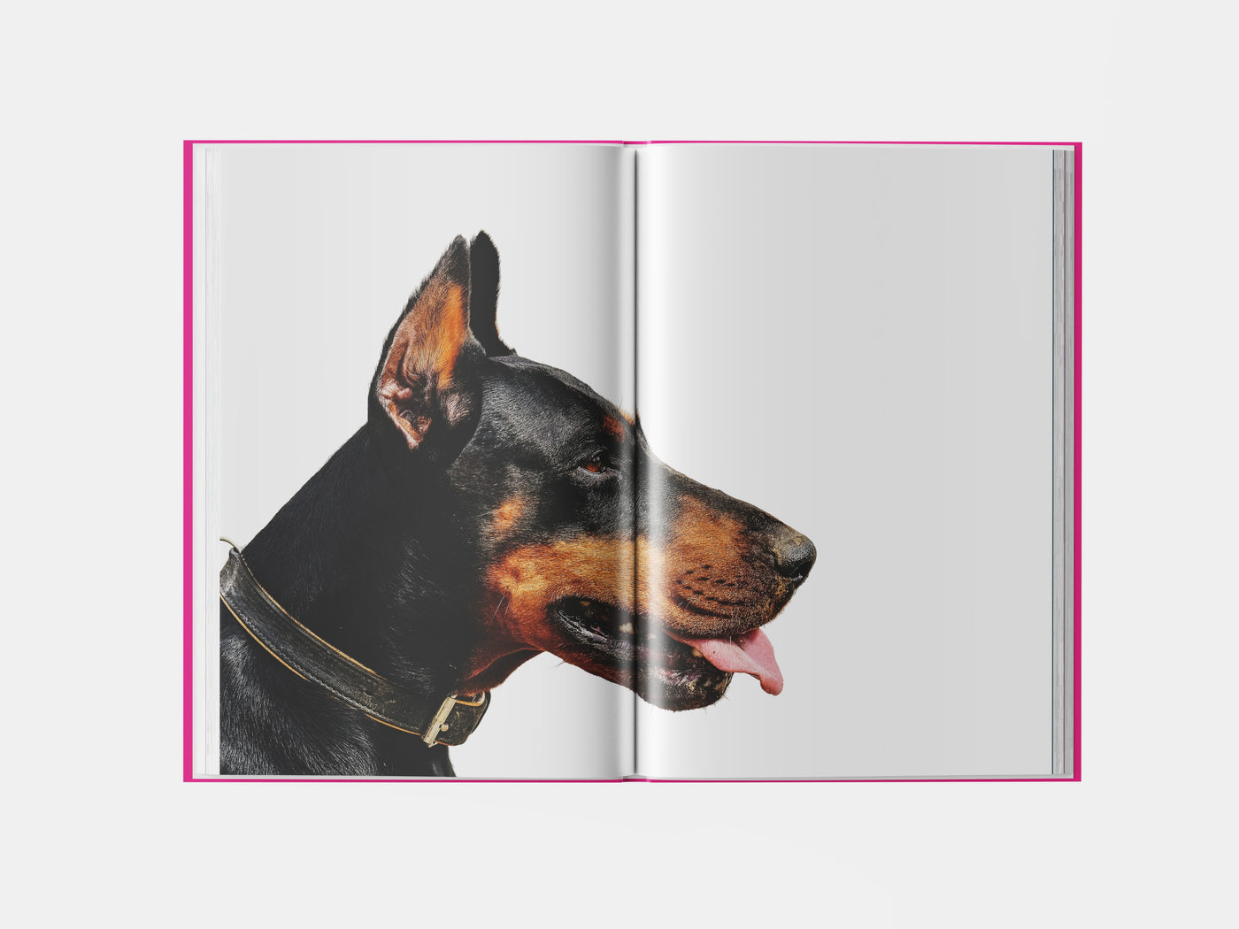 Book preview page 1