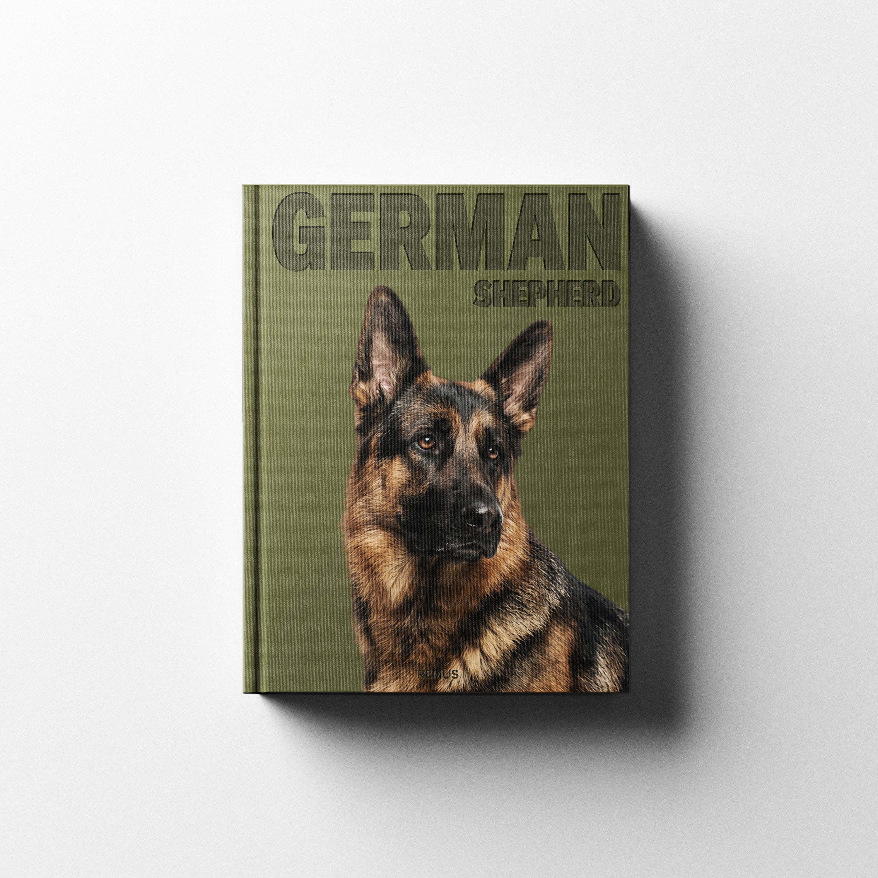 GERMAN SHEPHERD REMUS