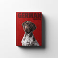 GERMAN POINTER REMUS