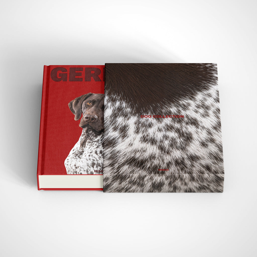 GERMAN POINTER REMUS