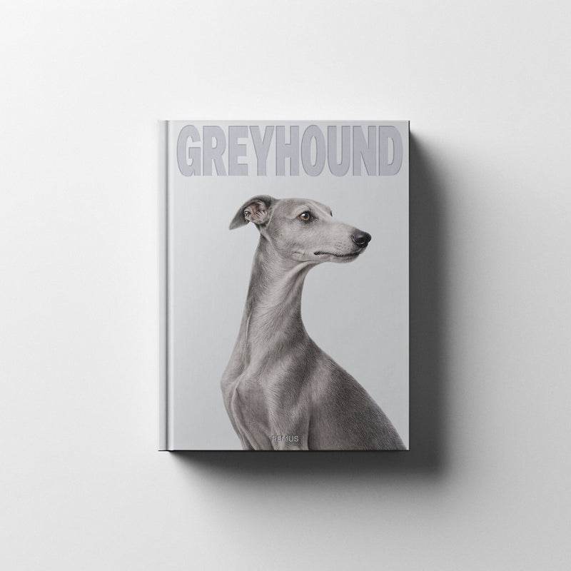 GREYHOUND