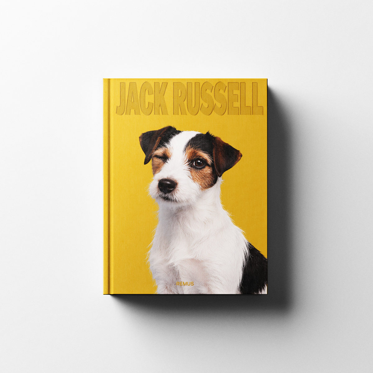 JACK RUSSELL Remus Collection