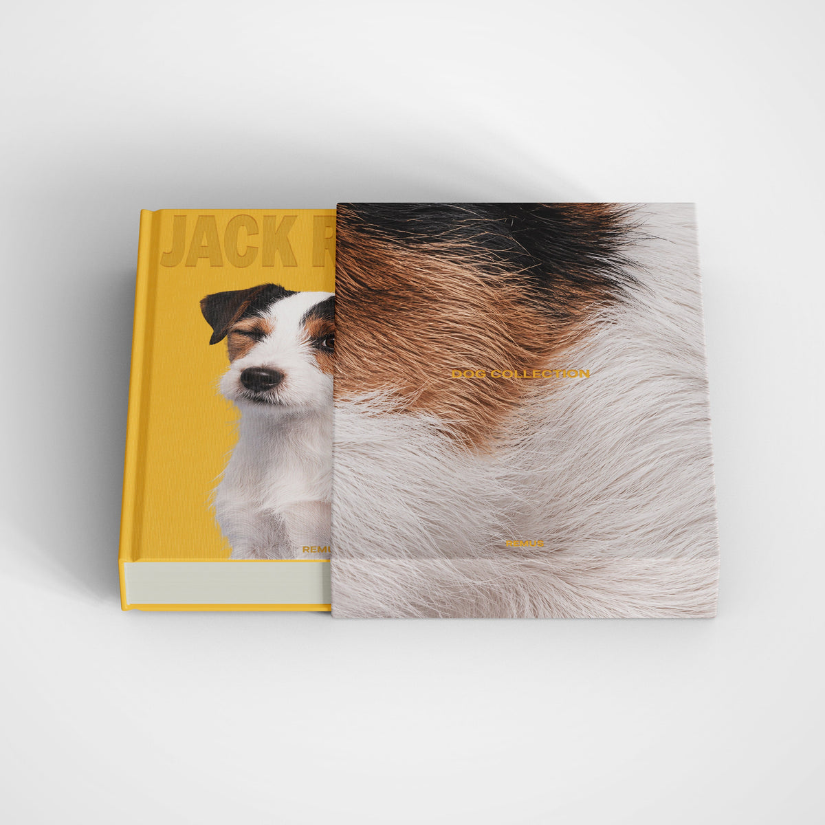 JACK RUSSELL Remus Collection