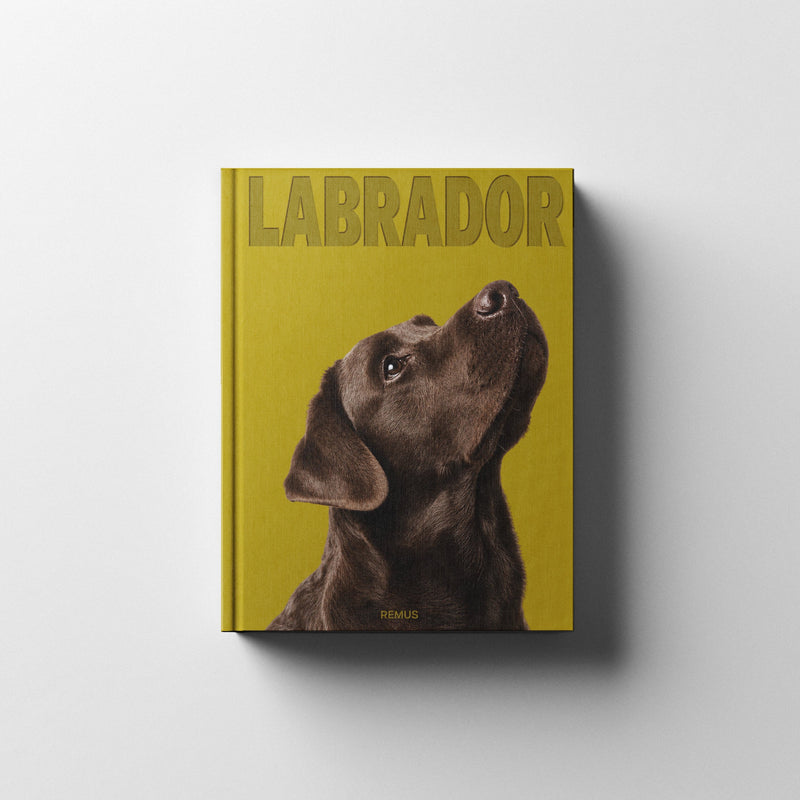 LABRADOR