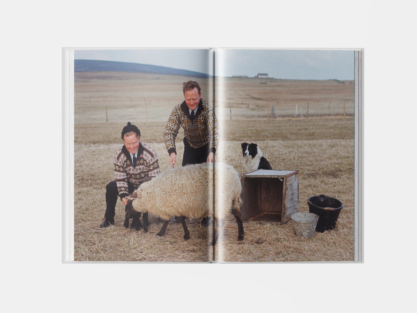 Book preview page 2