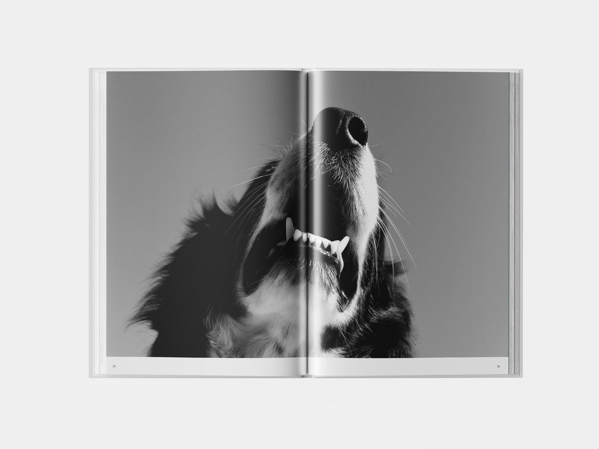 Book preview page 3