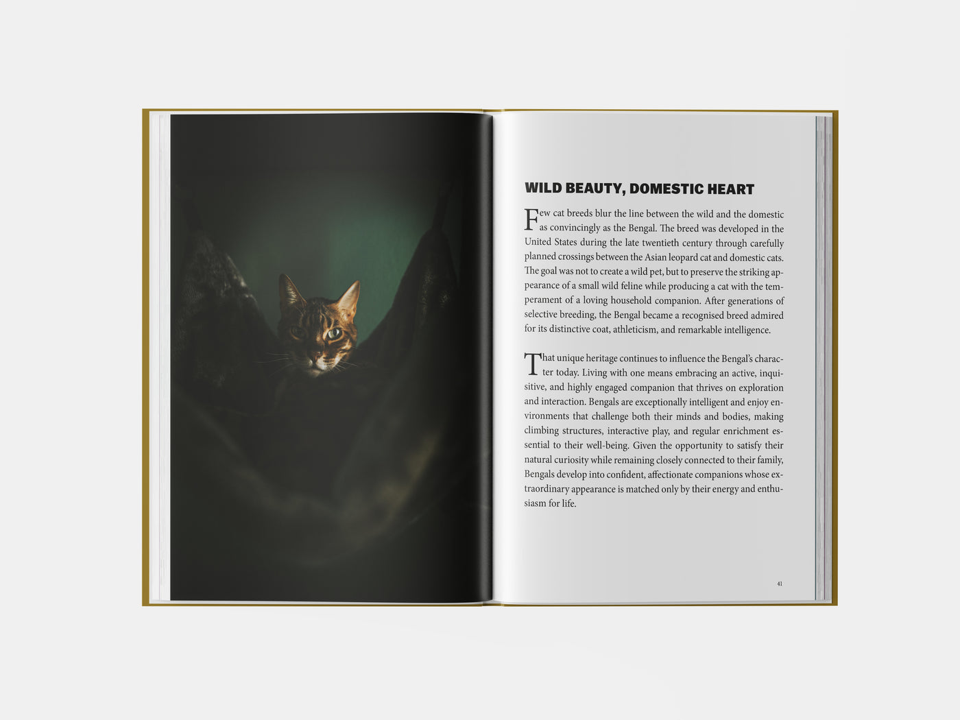 Book preview page 1