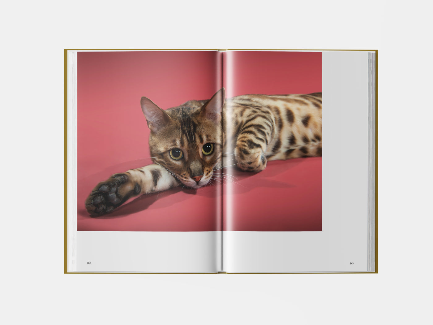 Book preview page 3