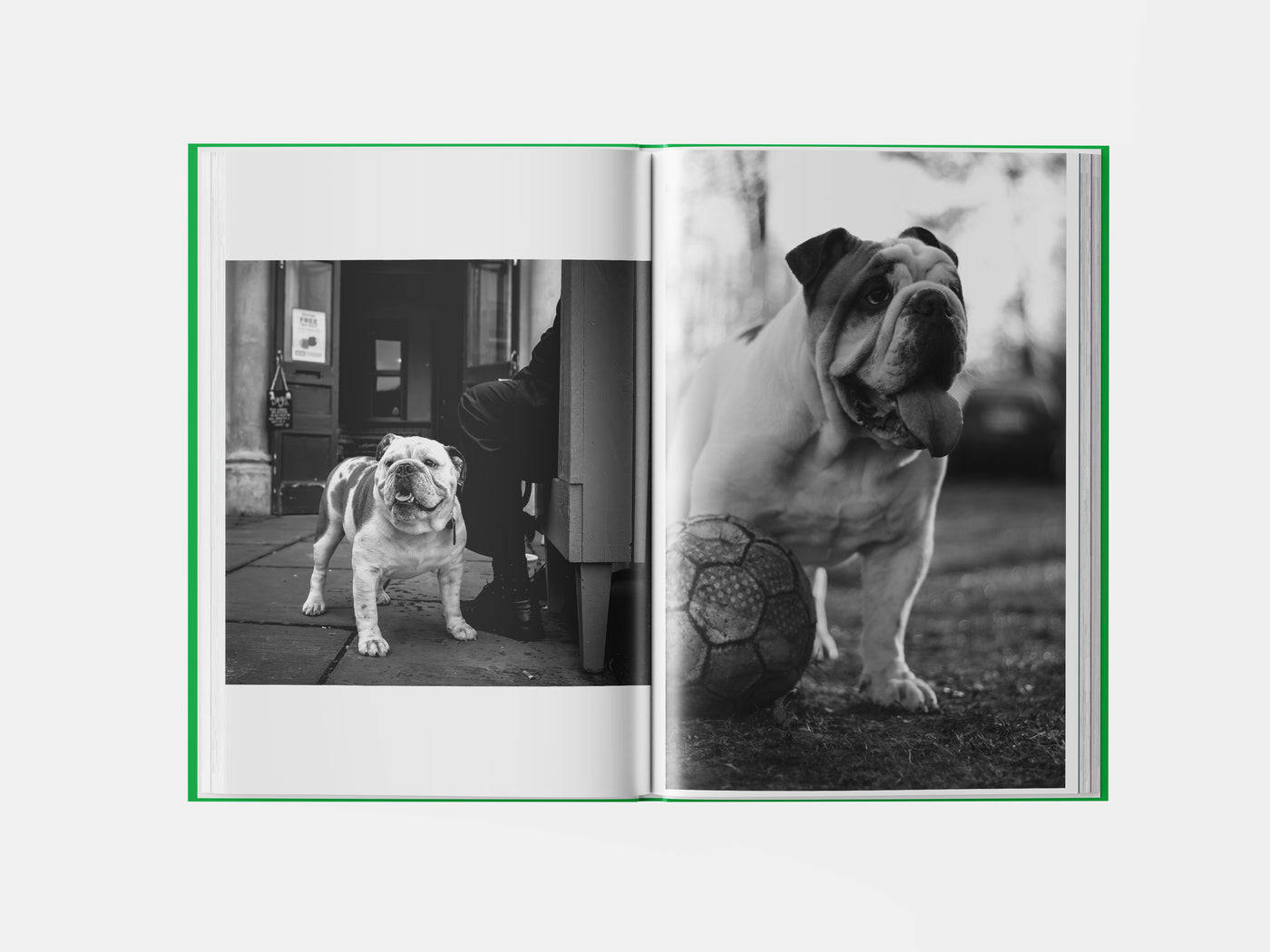 Book preview page 2