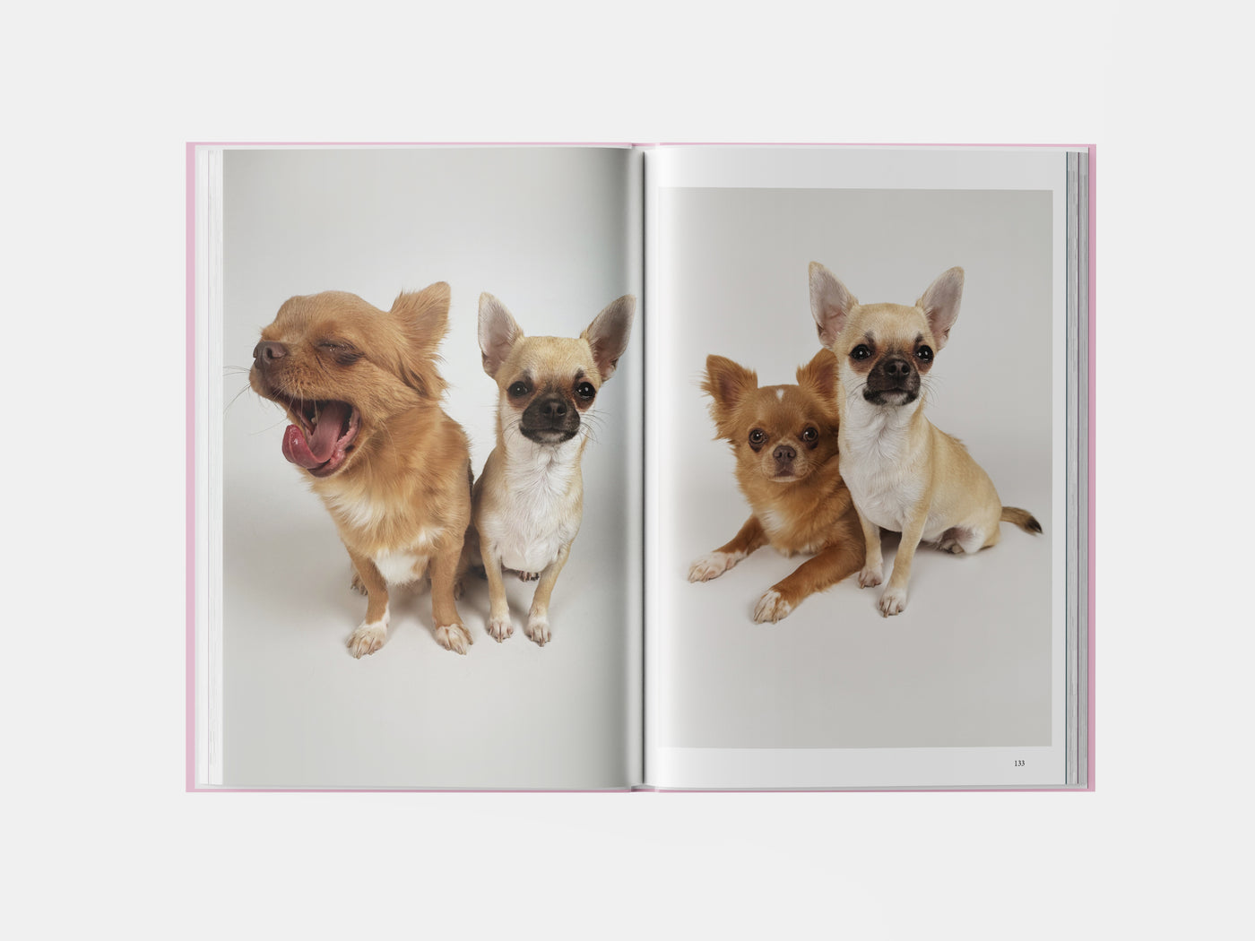 Book preview page 1