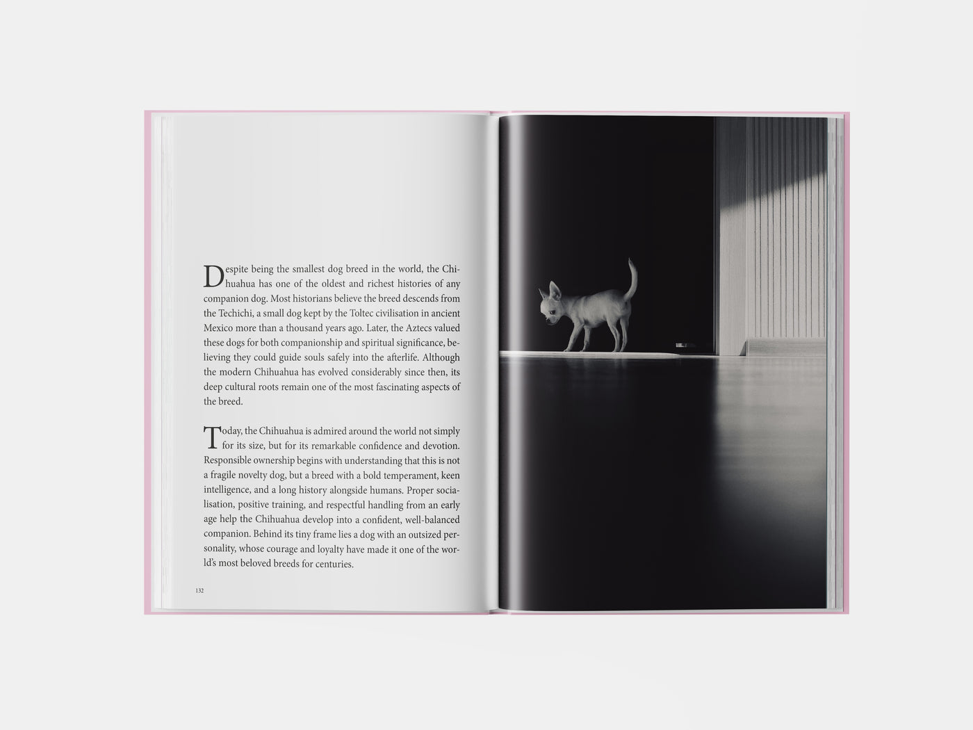 Book preview page 2