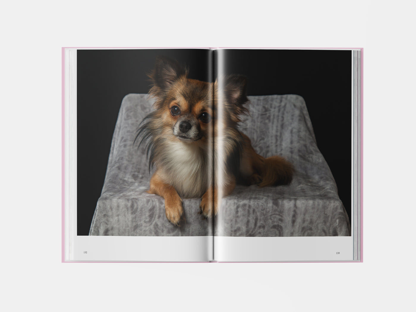 Book preview page 3