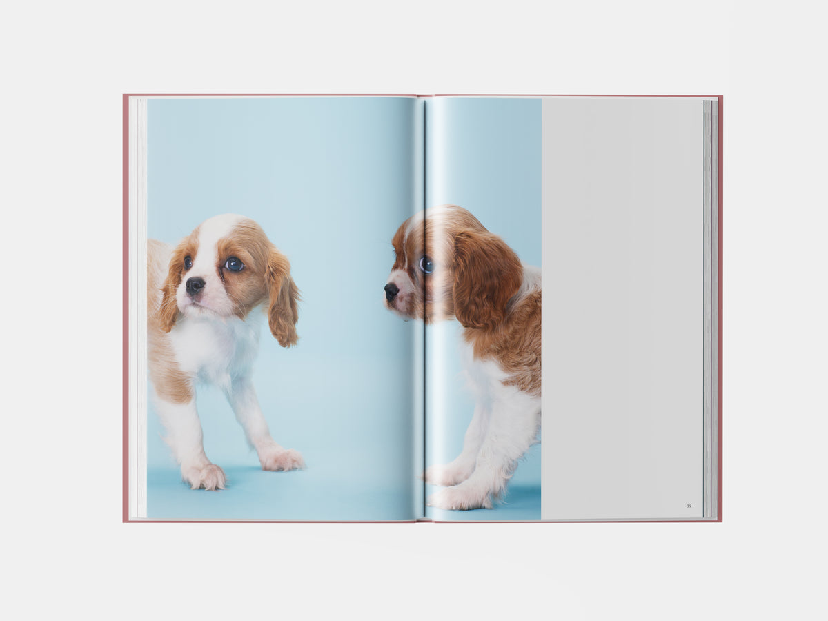 Book preview page 3