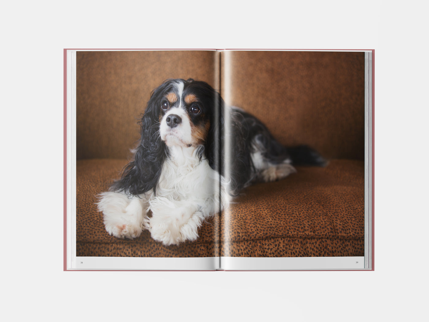 Book preview page 2