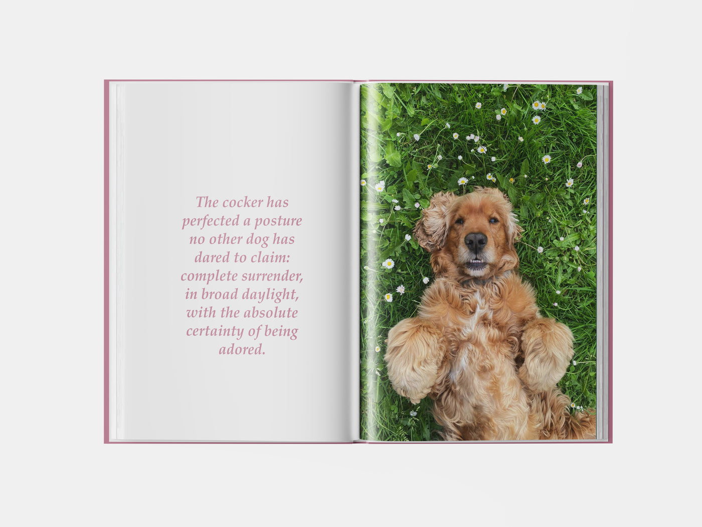 Book preview page 1