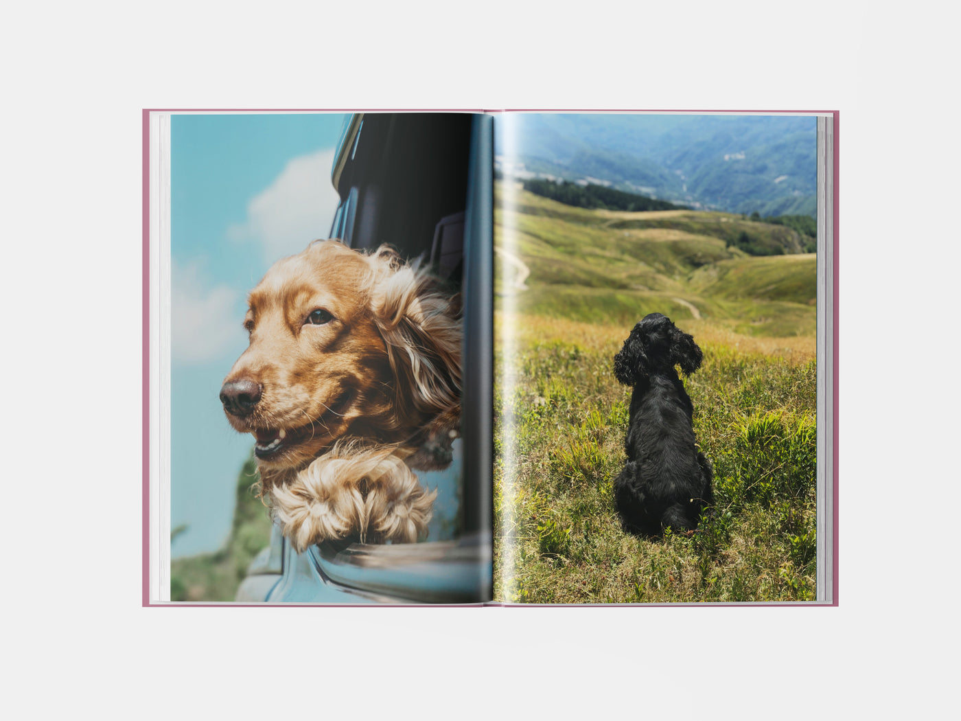 Book preview page 3
