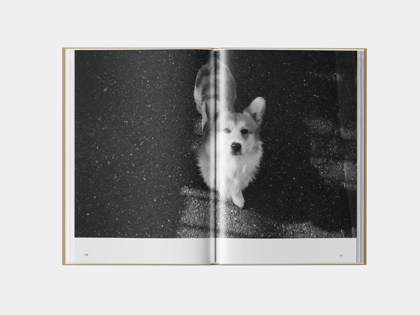Book preview page 3