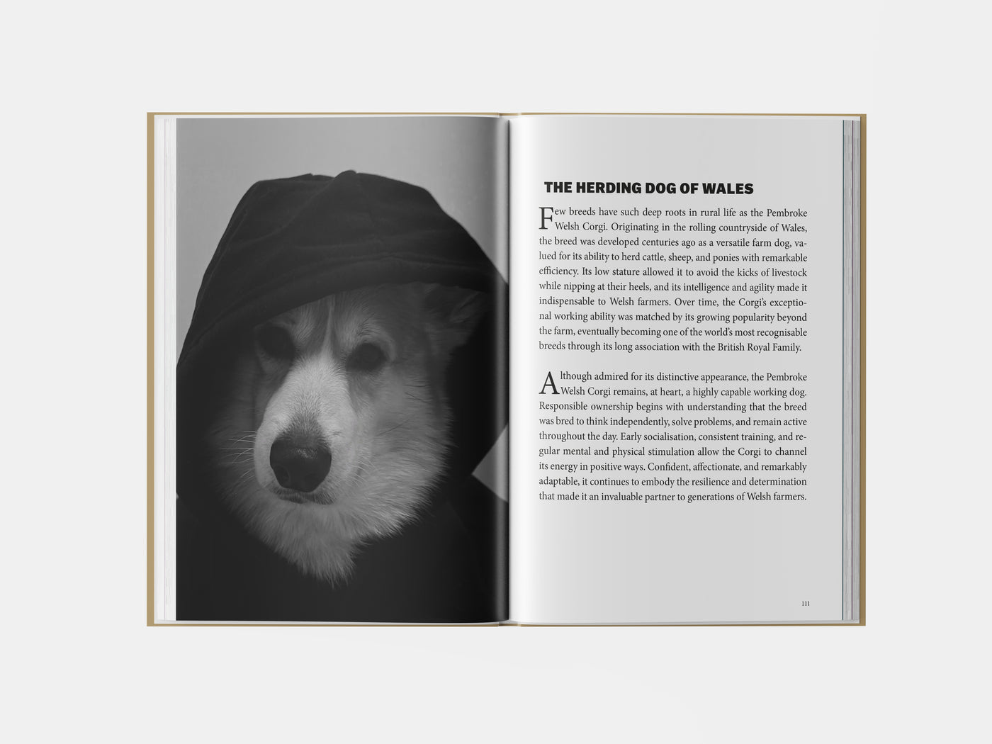Book preview page 1