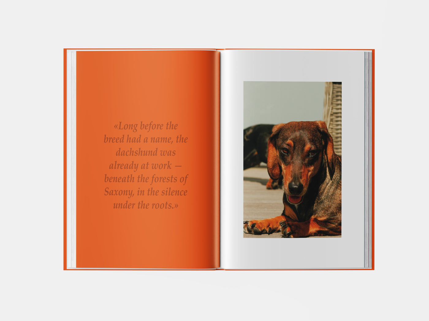 Book preview page 2