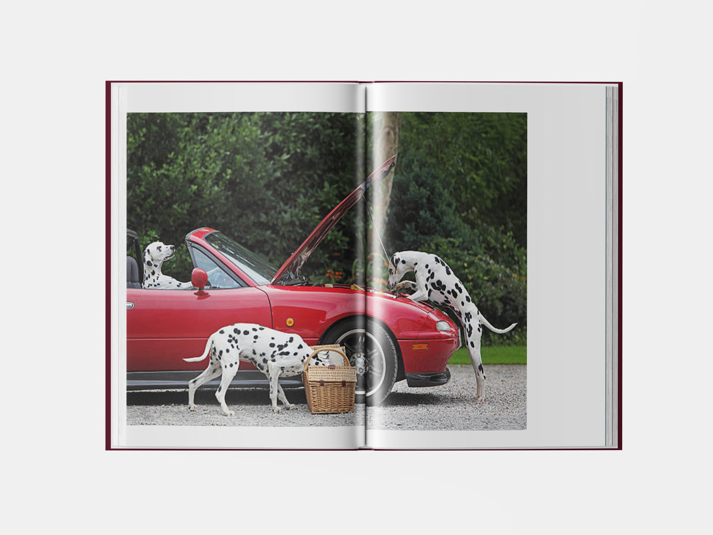 Book preview page 3