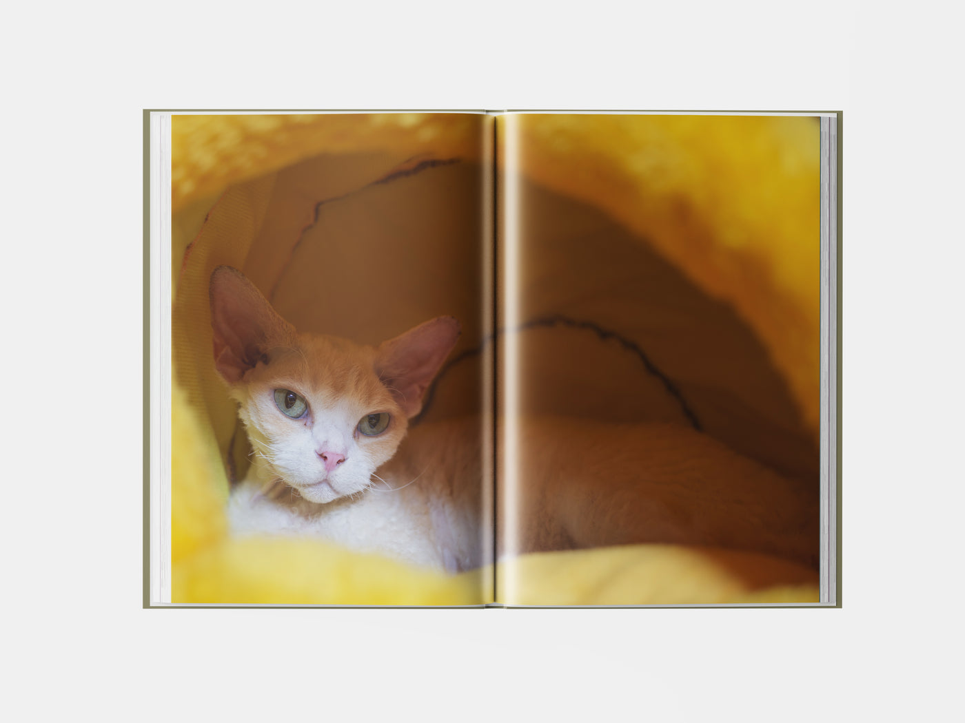 Book preview page 2