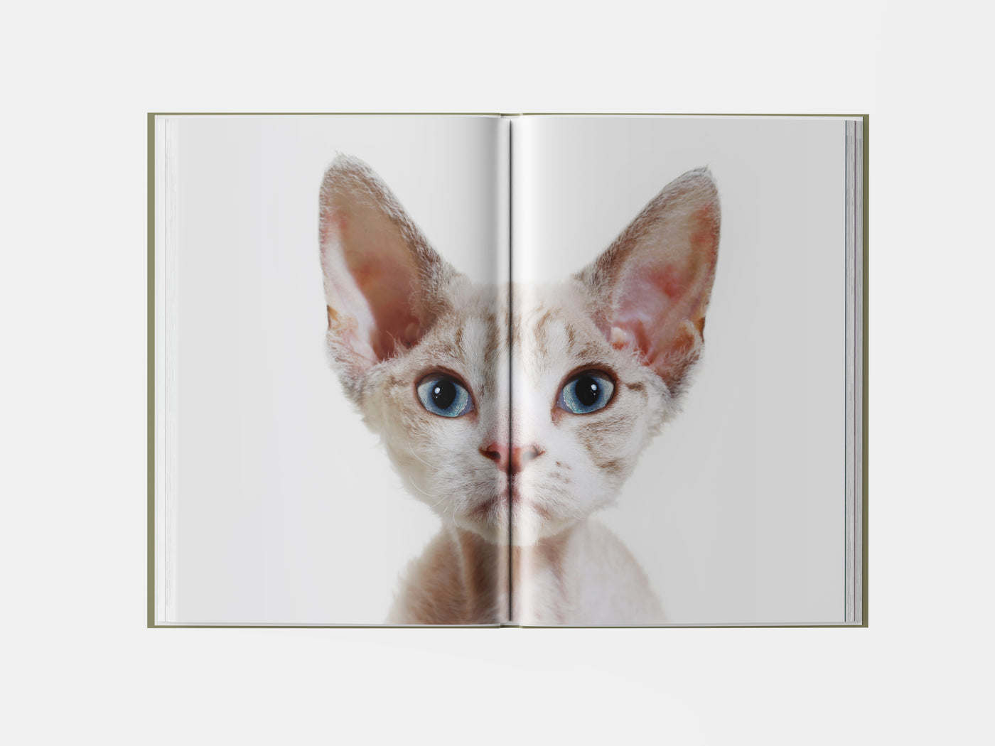 Book preview page 1